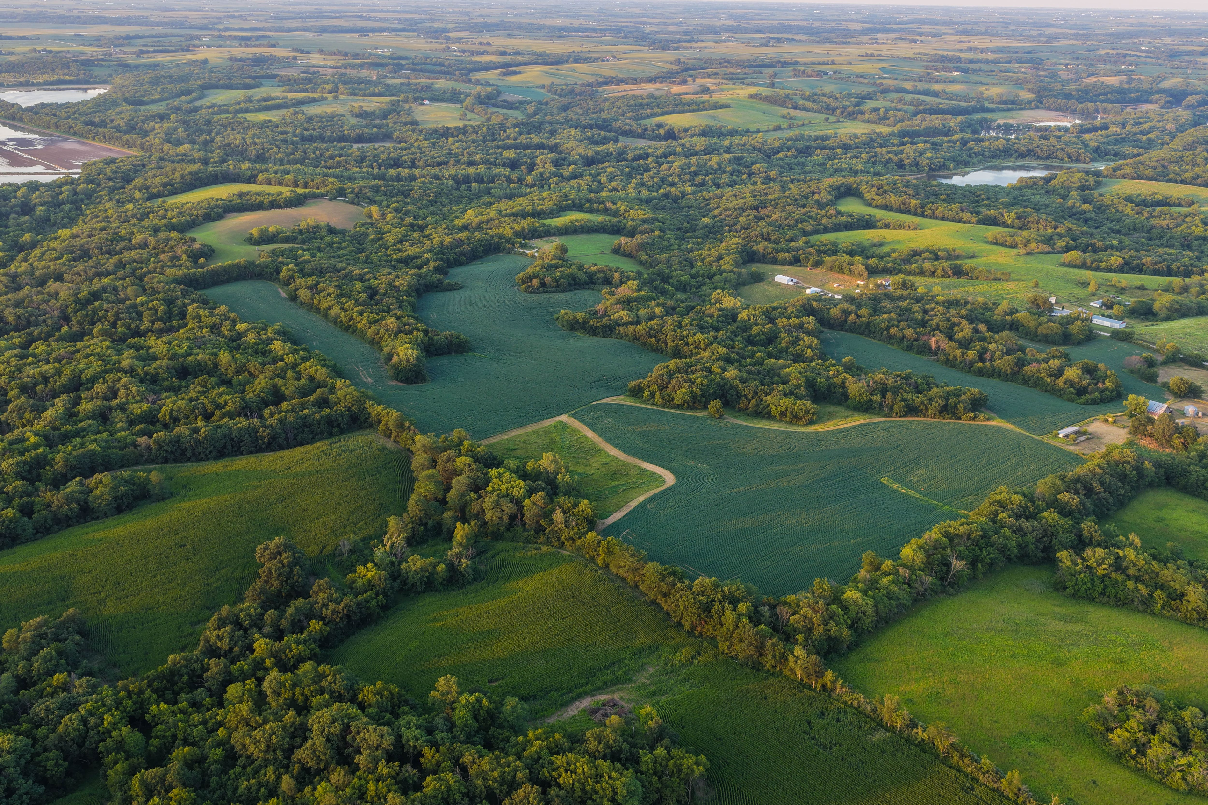 Listing Photo: Whitetail Hunting Farm Mahaska County Iowa-38